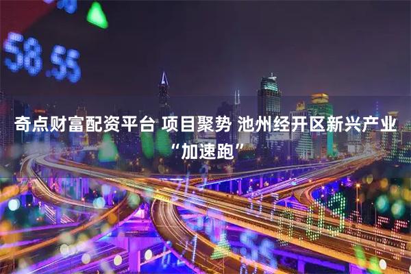 奇点财富配资平台 项目聚势 池州经开区新兴产业“加速跑”