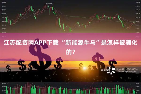 江苏配资网APP下载 “新能源牛马”是怎样被驯化的？