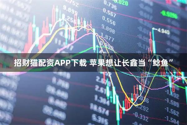 招财猫配资APP下载 苹果想让长鑫当“鲶鱼”